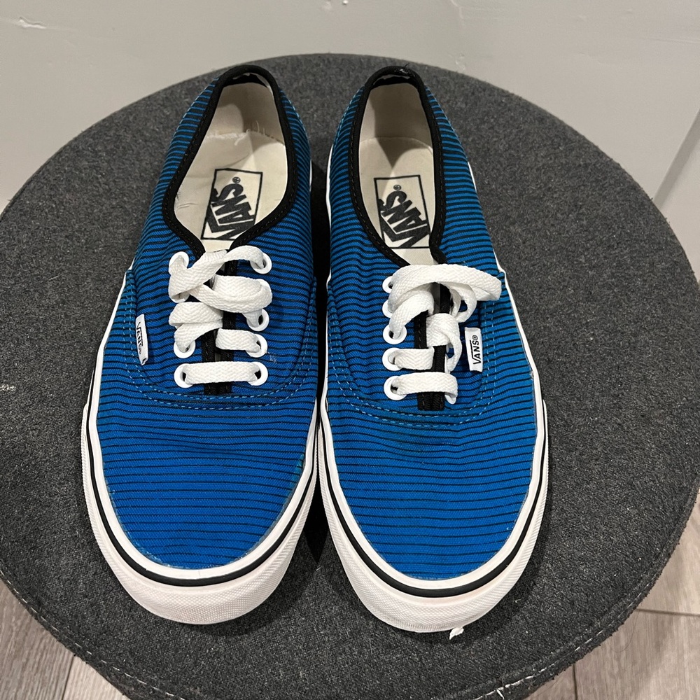 Vans classic shoes